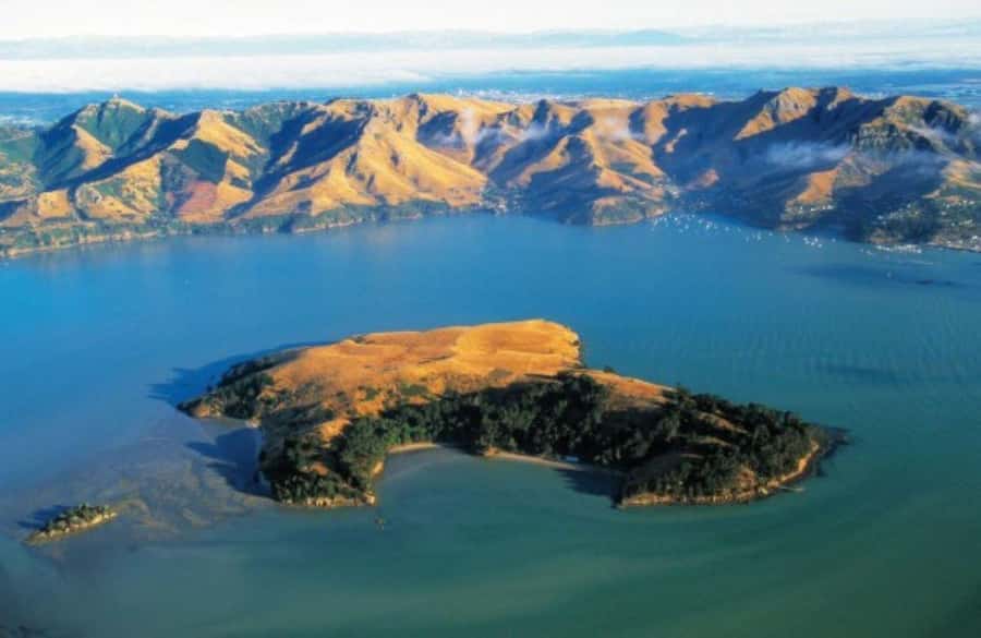 Christchurch: Sea Kayaking Tour of Lyttelton Harbour - Is $268 a fair price?