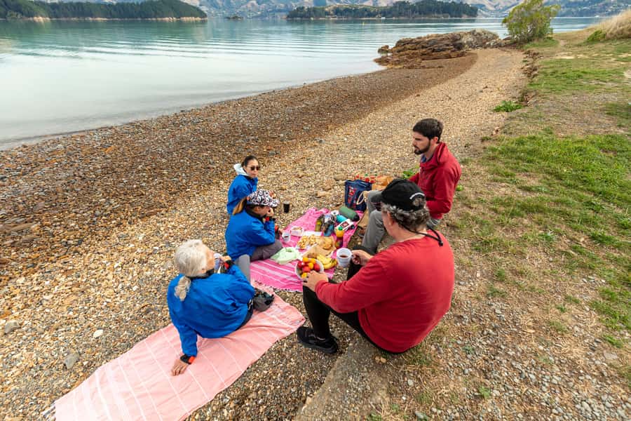 Christchurch: Sea Kayaking Tour of Lyttelton Harbour - Who will enjoy this trip most?