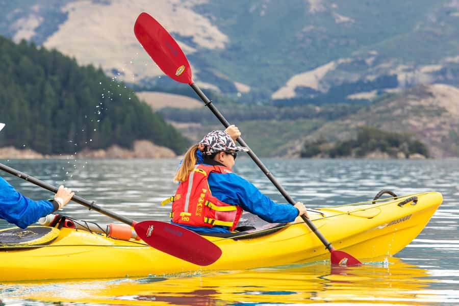 Christchurch: Sea Kayaking Tour of Lyttelton Harbour - Small bays, rocky cliffs, and quiet beaches