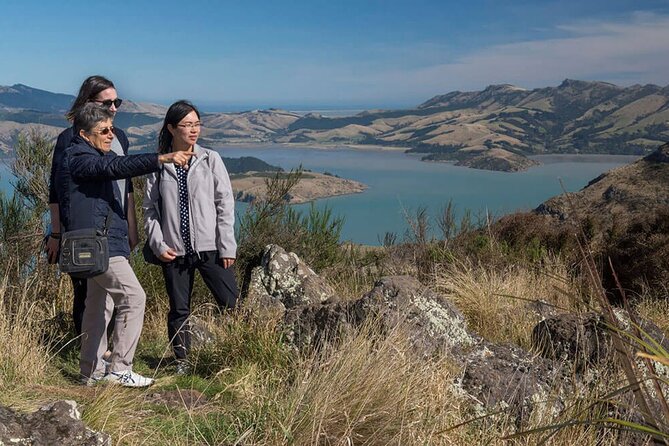 Christchurch Sightseeing Pass - Christchurch Tram: the best first ride for orientation