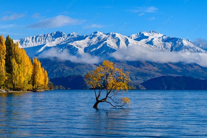 Christchurch to Queenstown 2 Day Tour via Franz Josef - Why this is a smart Christchurch to Queenstown route