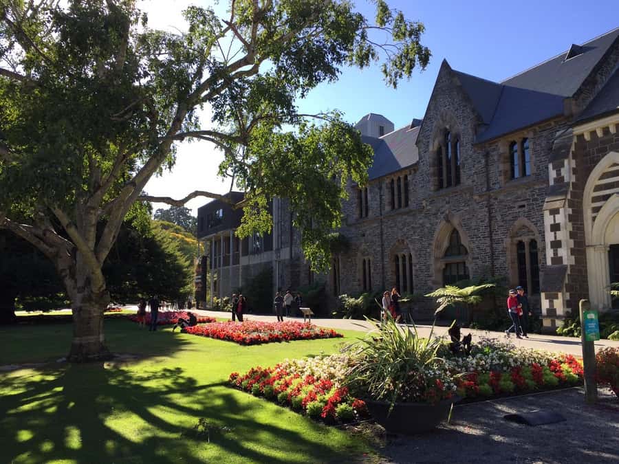 Christchurch: to Queenstown via Mt Cook 1 Way Tour - High Country Salmon and Jackson Orchards