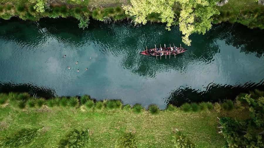 Christchurch: Waka Paddling Experience on the Avon River - Meeting at 794 Colombo Street