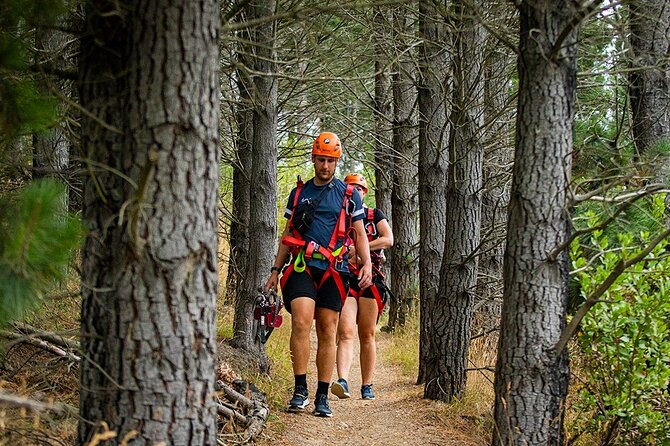 Christchurch Zipline Tour - Views from the Port Hills, not just a thrill ride
