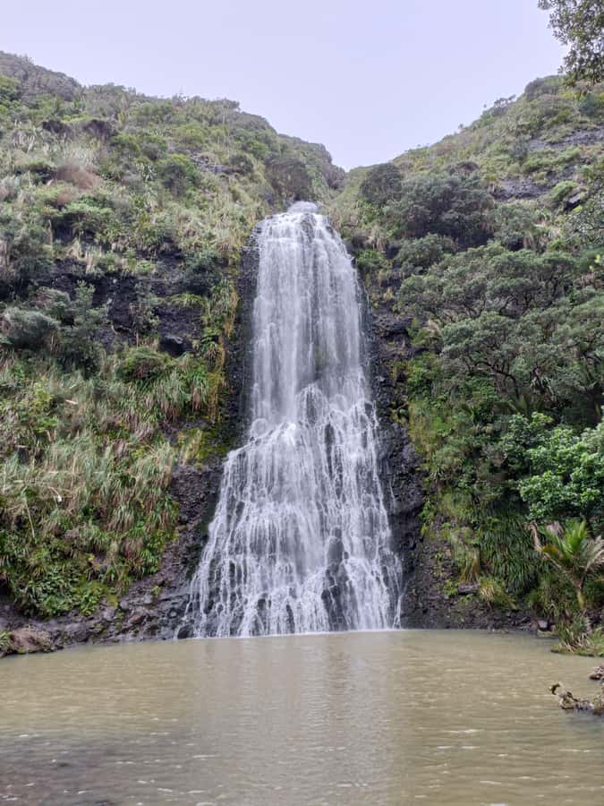 “City & Coast & Country” – A Relaxed Day Tour from Auckland - Arataki Visitor Centre and the Waitākere ranges