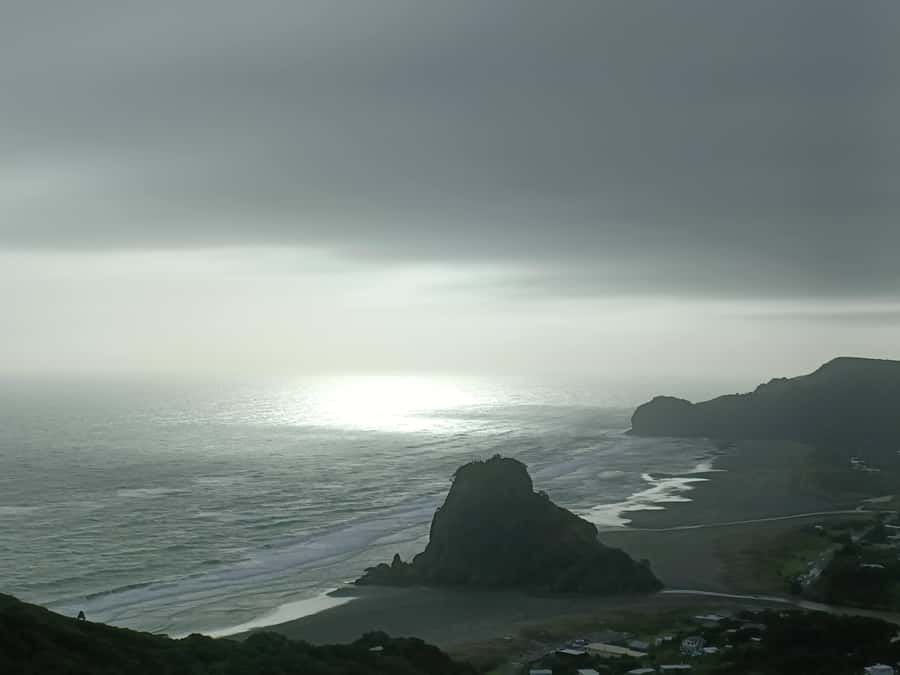 “City & Coast & Country” – A Relaxed Day Tour from Auckland - Karekare Falls in a short forest walk