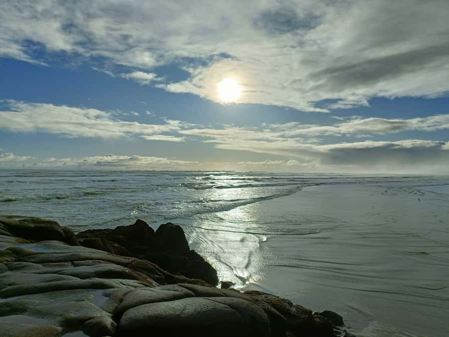 “City & Coast & Country” – A Relaxed Day Tour from Auckland - Piha Beach and the wild West Coast