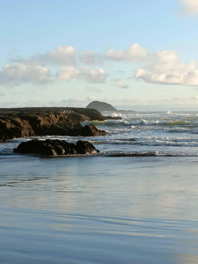 “City & Coast & Country” – A Relaxed Day Tour from Auckland - The guide, stories, and small-group feel