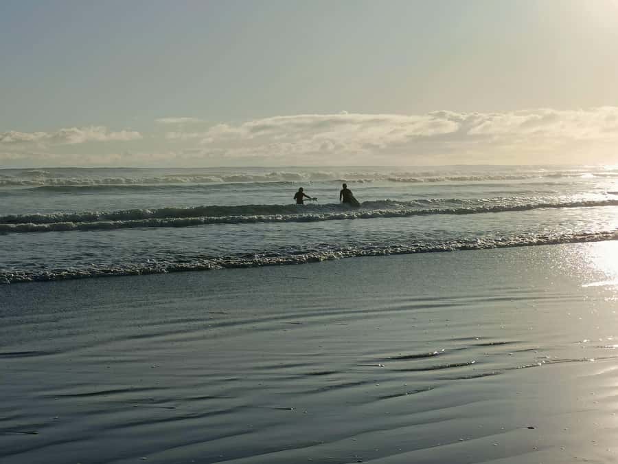 “City & Coast & Country” – A Relaxed Day Tour from Auckland - Starting in Auckland CBD