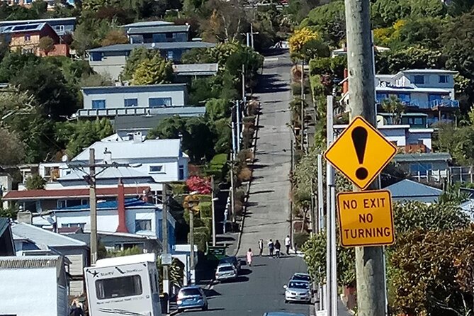 City Highlights, Larnach Castle & Peninsula Views - Otago University and the Edwardian railway station