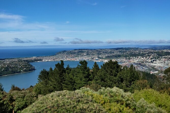 City Highlights, Larnach Castle & Peninsula Views - Larnach Castle gardens are the main event