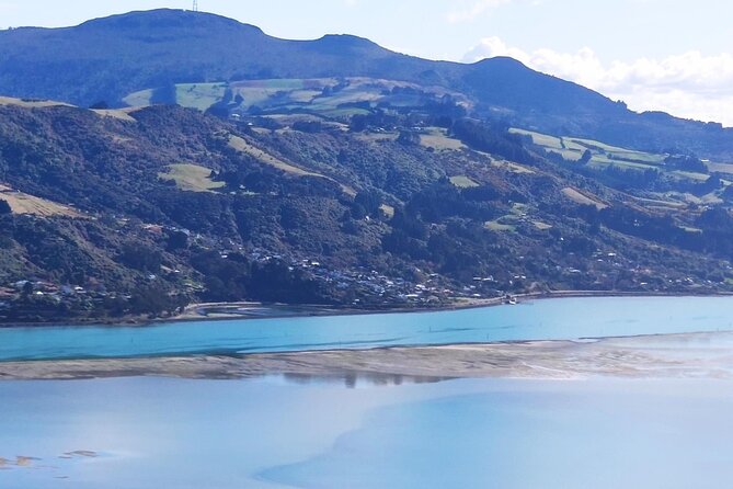 City Highlights, Larnach Castle & Peninsula Views - Is $152.66 good value?