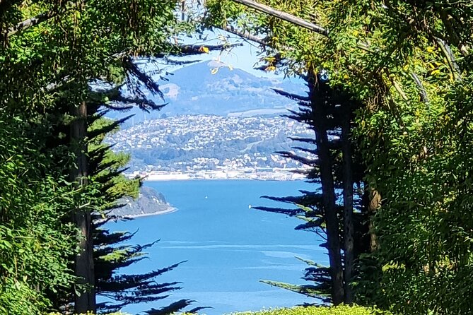 City Highlights, Larnach Castle & Peninsula Views - Signal Hill gives you Dunedin’s best photo stop