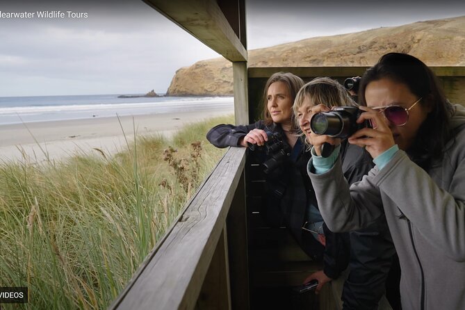 Clearwater Private Penguin & Wildlife Tour from Port Otago (5hrs) - Reaching the wild end of Otago Peninsula