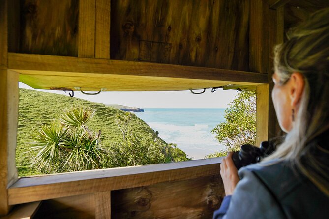 Clearwater Private Penguin & Wildlife Tour from Port Otago (5hrs) - Birds, pups, and the value of timing