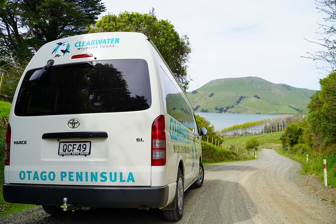 Clearwater Private Penguin & Wildlife Tour from Port Otago (5hrs) - Why the private format matters