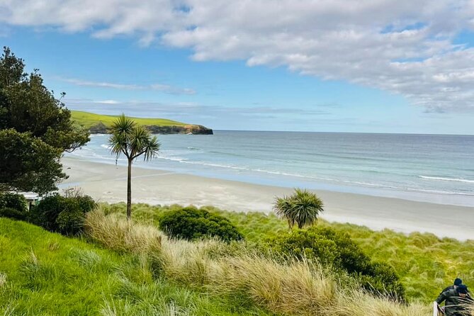 Clearwater Wildlife Tours (small group 10max) Otago Peninsula - What the guides add to the experience