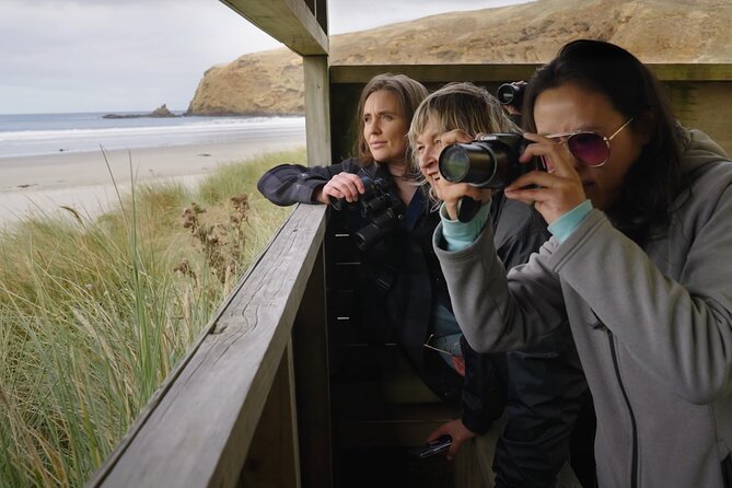 Clearwater Wildlife Tours (small group 10max) Otago Peninsula - Weather, cancellations, and practical details