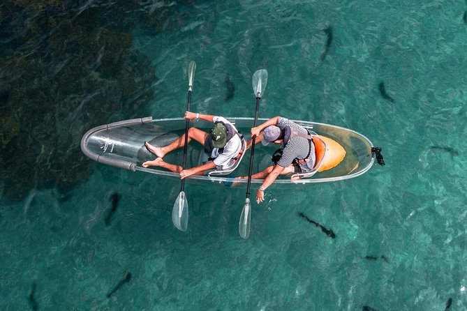 Clearyak hire at Goat Island Marine Reserve - Key points before you book
