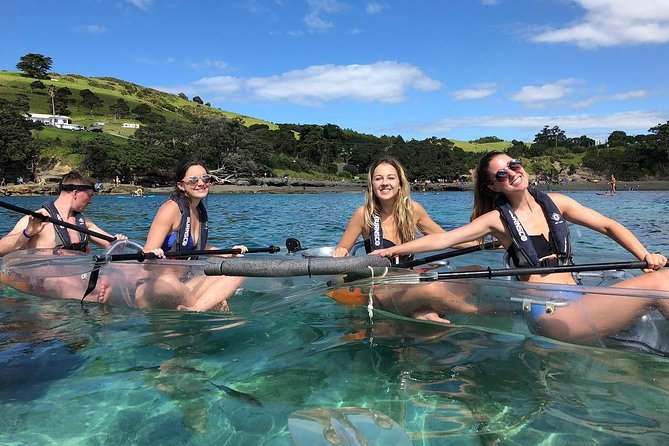 Clearyak hire at Goat Island Marine Reserve - What makes Goat Island special from a clear kayak