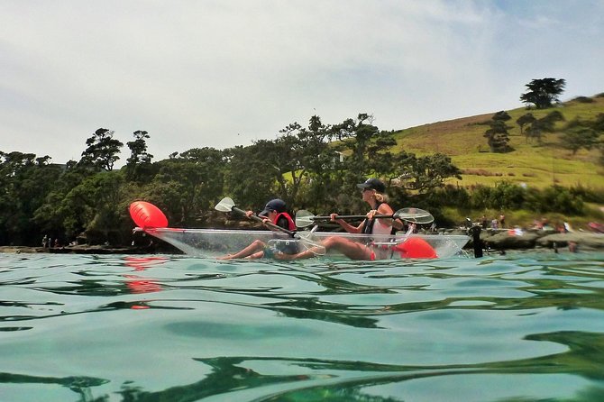 Clearyak hire at Goat Island Marine Reserve - What you may see below the boat