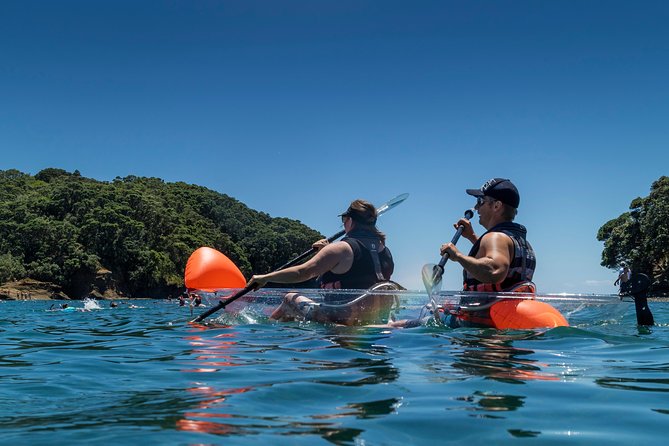 Clearyak hire at Goat Island Marine Reserve - Staying dry enough for the rest of your day