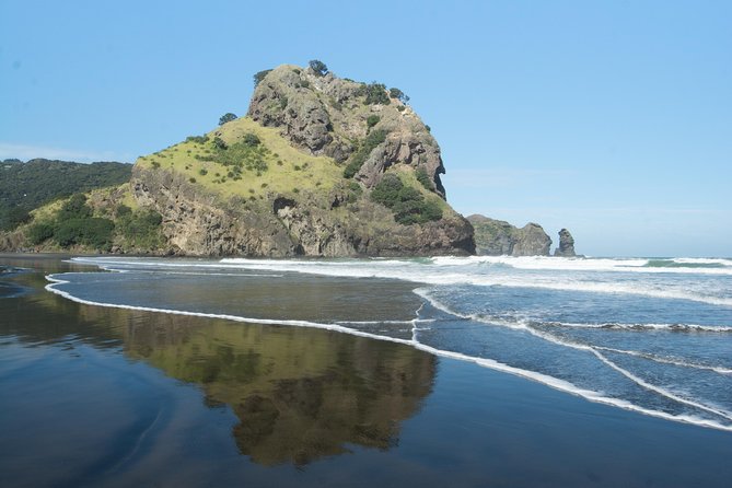 Coast and Rainforest Eco-Tour from Auckland with Picnic Lunch - Quick takeaways for planning your day