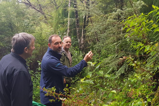 Coast and Rainforest Eco-Tour from Auckland with Picnic Lunch - Why this makes a strong Auckland day trip