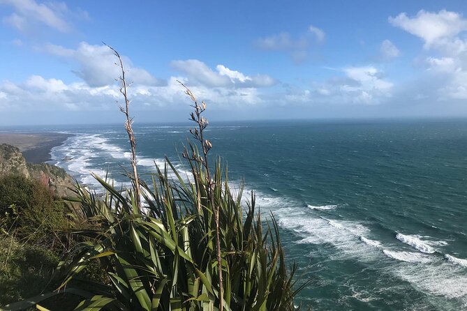 Coast and Rainforest Eco-Tour from Auckland with Picnic Lunch - The guides shape the whole experience