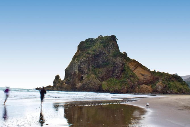 Coast and Rainforest Eco-Tour from Auckland with Picnic Lunch - Is $192.38 a fair price?