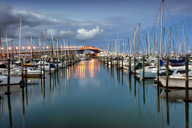 Coast to Coast Private Eco Tour - Bastion Point and the Mj Savage Memorial
