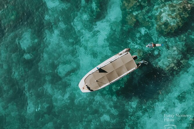 Coromandel Adventure and Wildlife Boat Tour to Aldermen Islands - Key things to know before you book
