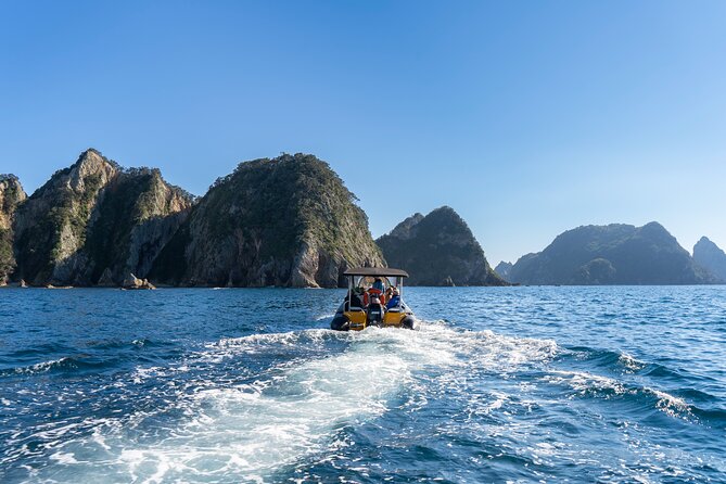 Coromandel Adventure and Wildlife Boat Tour to Aldermen Islands - Snorkeling adds a second way to see the islands