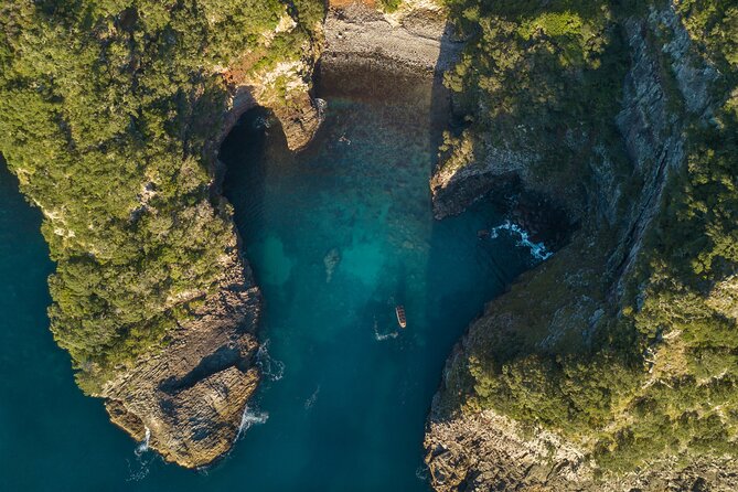 Coromandel Adventure and Wildlife Boat Tour to Aldermen Islands - Wildlife is exciting, but never scripted