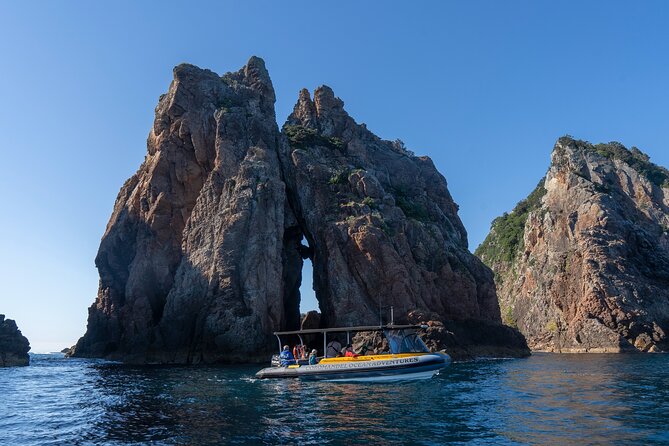Coromandel Adventure and Wildlife Boat Tour to Aldermen Islands - Is $102.39 good value for two hours?