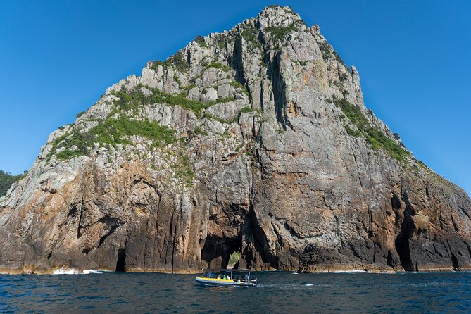 Coromandel Adventure and Wildlife Boat Tour to Aldermen Islands - Who will enjoy this Coromandel boat trip?