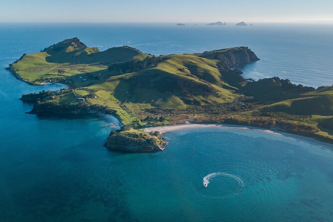 Coromandel Adventure and Wildlife Boat Tour to Aldermen Islands - The Aldermen Islands and their vanishing volcanoes
