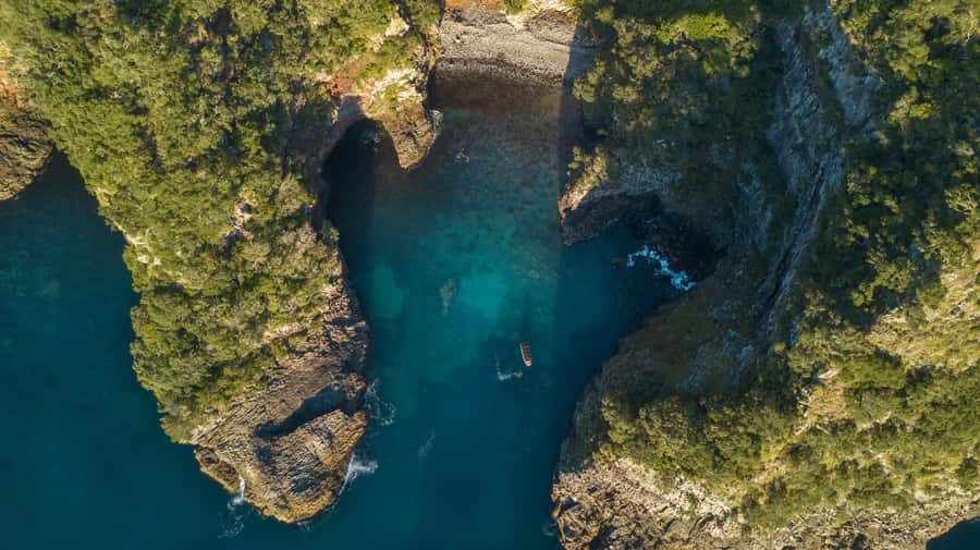 Coromandel: Aldermen Islands Marine Reserve Wildlife Cruise - Key points to know before you book