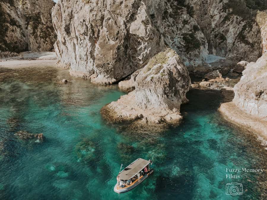 Coromandel: Aldermen Islands Marine Reserve Wildlife Cruise - Why the Aldermen Islands are worth the boat ride