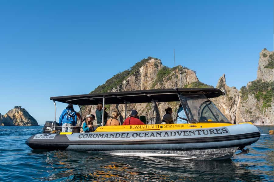 Coromandel: Aldermen Islands Marine Reserve Wildlife Cruise - Richie’s local stories add more than scenery