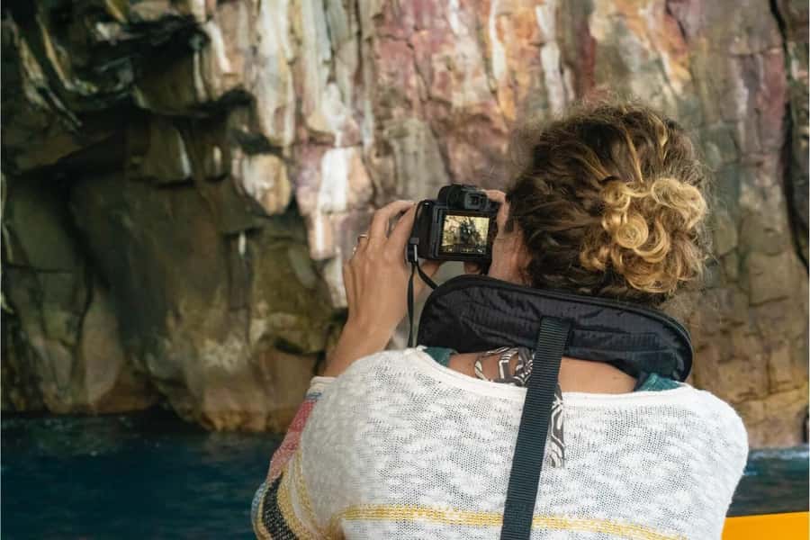 Coromandel: Aldermen Islands Marine Reserve Wildlife Cruise - Weather decides more than your schedule
