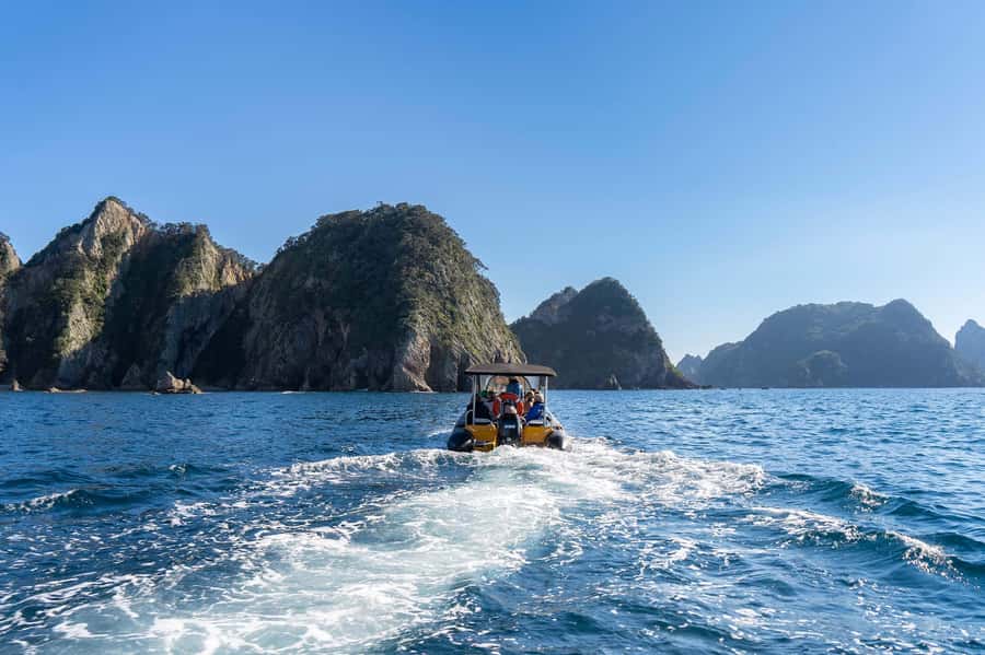 Coromandel: Aldermen Islands Marine Reserve Wildlife Cruise - Who will enjoy this trip most?
