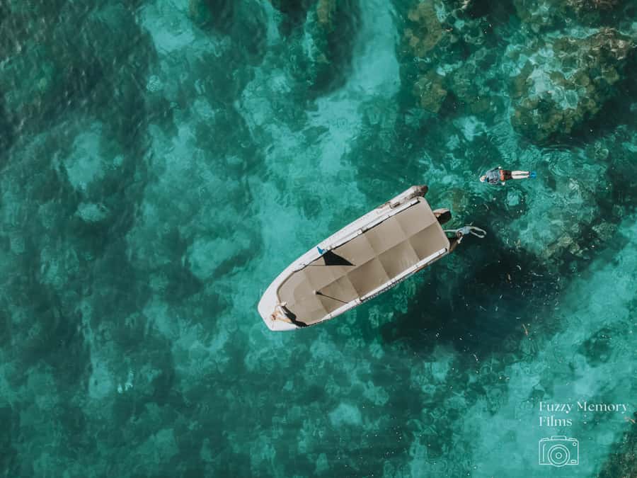 Coromandel: Aldermen Islands Marine Reserve Wildlife Cruise - A two-hour route built around scenery and wildlife