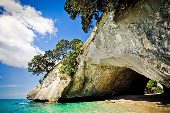 Coromandel Coastal Experience - Small Group Tour from Auckland - The Thames stop keeps the morning practical