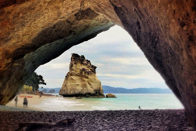 Coromandel Coastal Experience - Small Group Tour from Auckland - Who will enjoy this Coromandel day trip