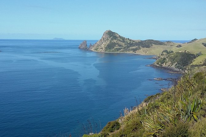 Coromandel Coastal Experience - Small Group Tour from Auckland - What to pack for the 11-hour outing