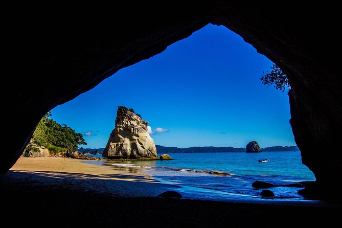 Coromandel Coastal Experience - Small Group Tour from Auckland - Walking into Te Whanganui-A-Hei Marine Reserve