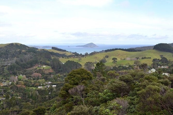 Coromandel Day Tour From Auckland - How the day feels in practice