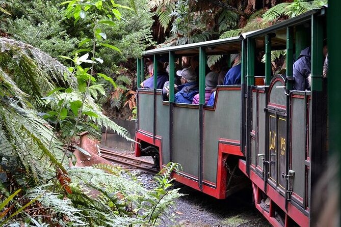 Coromandel Day Tour From Auckland - Who should book this tour