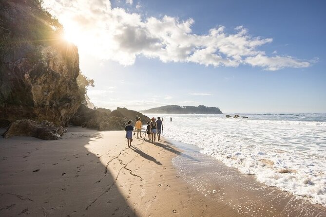 Coromandel Day Tour From Auckland - Riding the Driving Creek Railway to Eyefull Tower